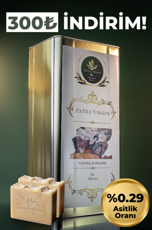5 Litre - Erken Hasat Naturel Sızma Zeytinyağı