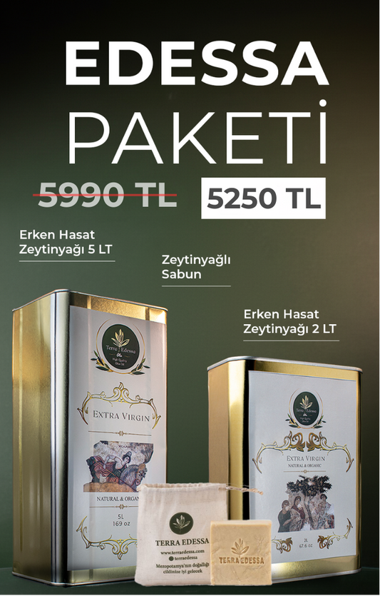 Edessa Paketi