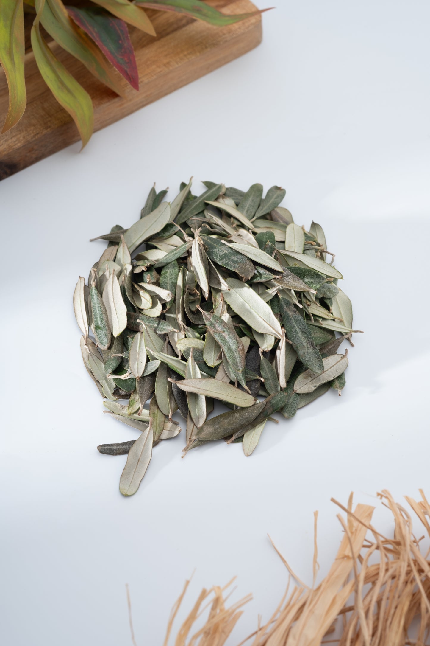 Bahçeden Zeytin Yaprağı