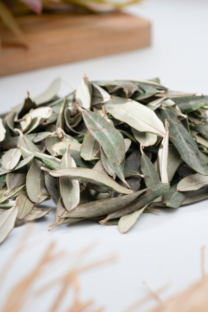 Bahçeden Zeytin Yaprağı